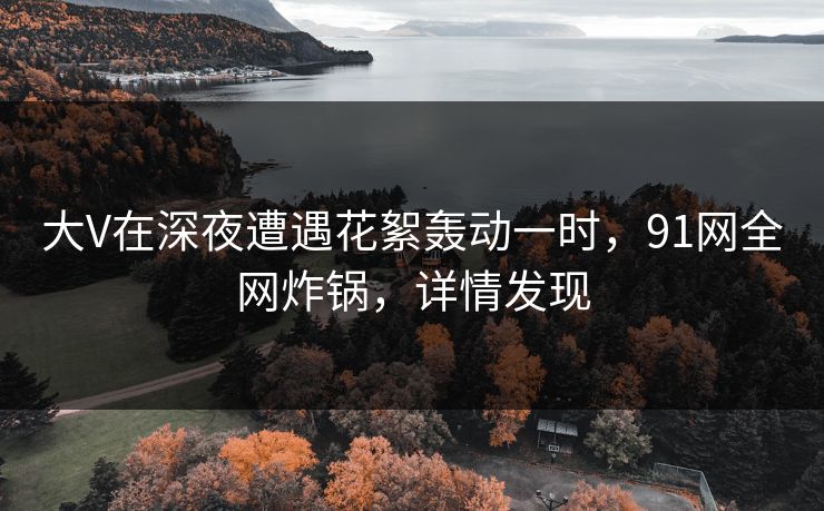 大V在深夜遭遇花絮轰动一时，91网全网炸锅，详情发现